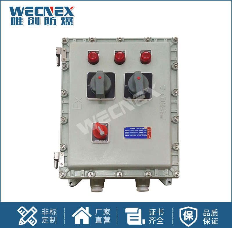 BXX 防爆動力檢修箱