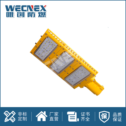 免維護(hù)LED防爆路燈DFC-8613